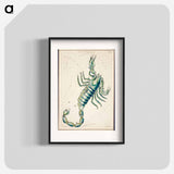 Scorpio - アンティーク地図 Poster.