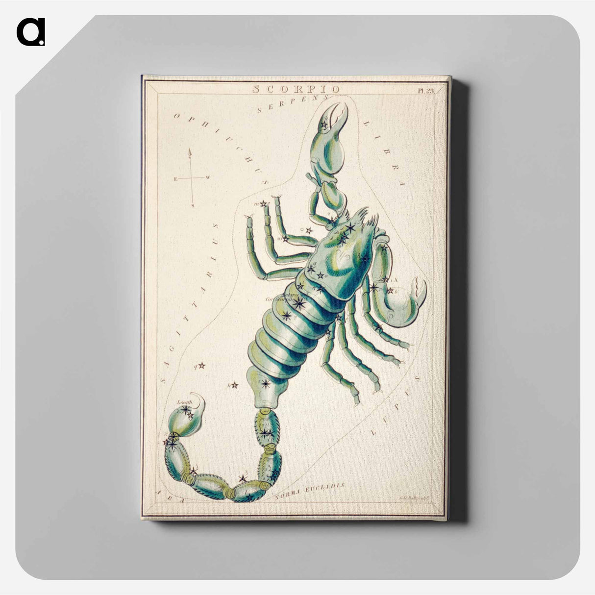 Scorpio - アンティーク地図 Canvas.