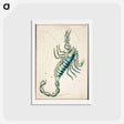 アートポストカード-Scorpio - アンティーク地図 Postcard.