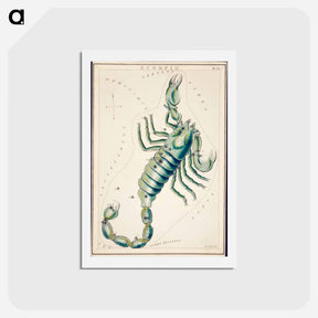 アートポストカード-Scorpio - アンティーク地図 Postcard.