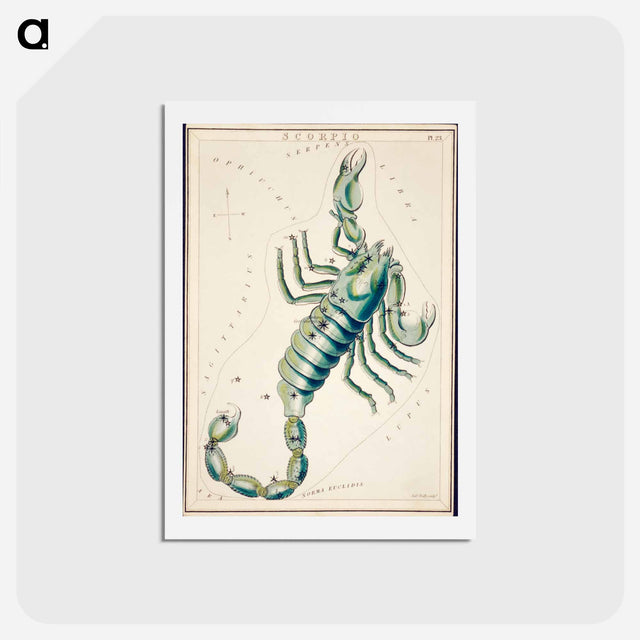 アートポストカード-Scorpio - アンティーク地図 Postcard.