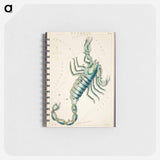 Scorpio - アンティーク地図 Memo.