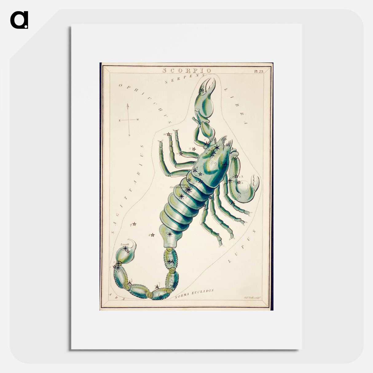 Scorpio - アンティーク地図 Poster.