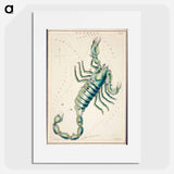 Scorpio - アンティーク地図 Poster.