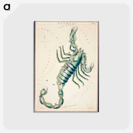 アートポストカード-Scorpio - アンティーク地図 Postcard.