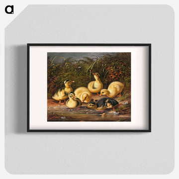 Group of ducklings - アーサー フィッツウィリアム テイト Poster.