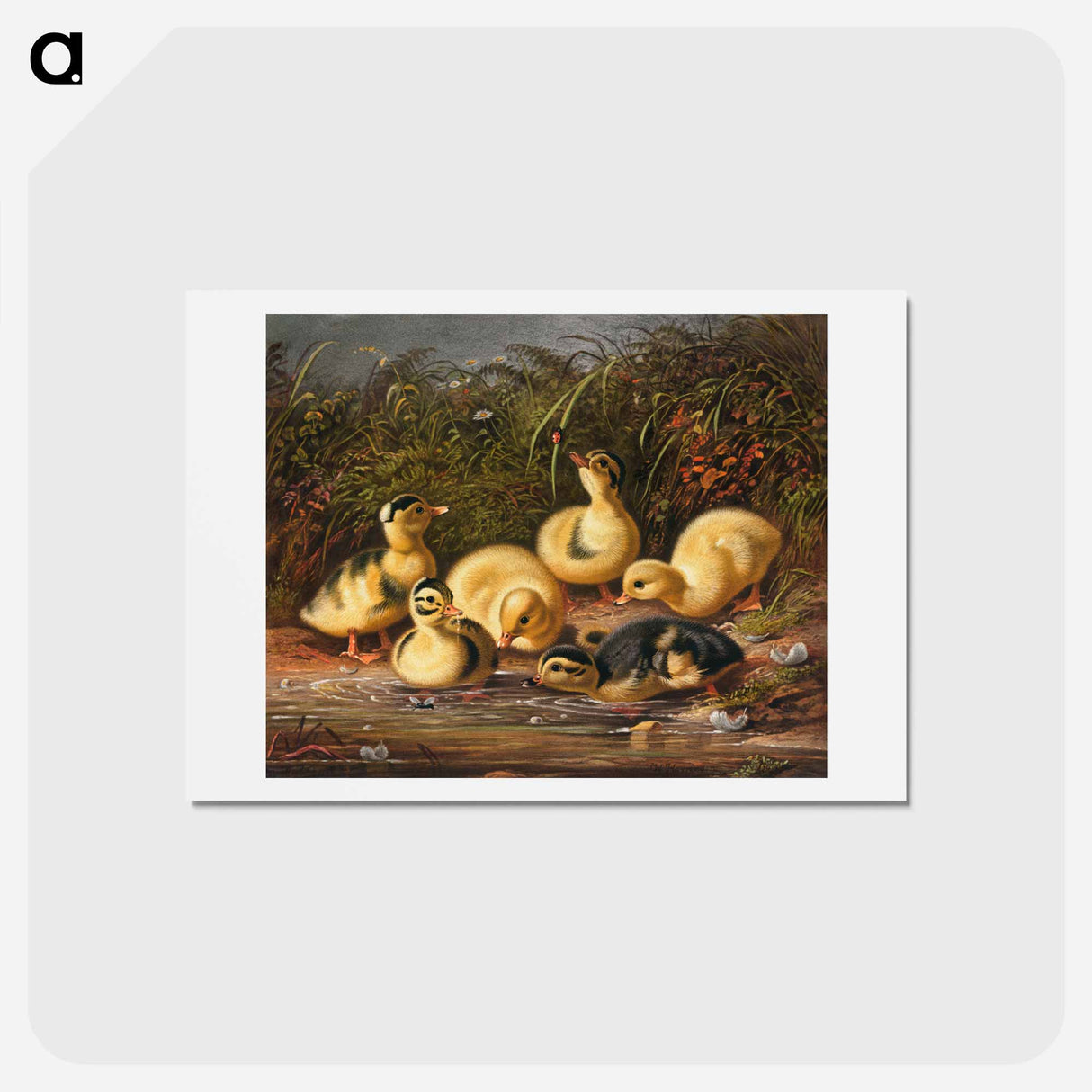 Group of ducklings - アーサー フィッツウィリアム テイト Postcard.