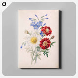 アートパネル-Red and Blue Flowers and White Daisy
 - バーンズ・コレクション Canvas.