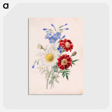 アートポストカード-Red and Blue Flowers and White Daisy
 - バーンズ・コレクション Postcard.