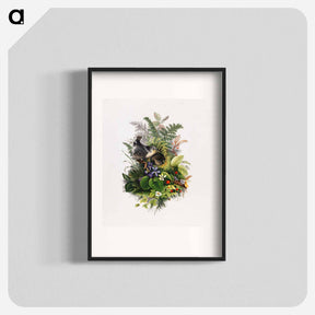 アートポスター-Bird
 - ボストン公共図書館 Poster.
