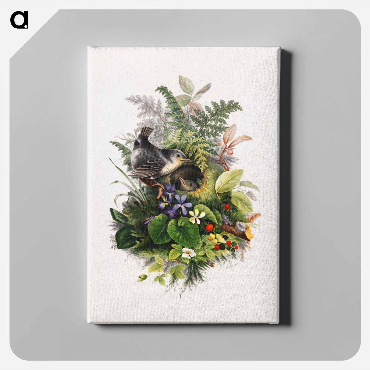 アートパネル-Bird
 - ボストン公共図書館 Canvas.