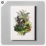 アートパネル-Bird
 - ボストン公共図書館 Canvas.