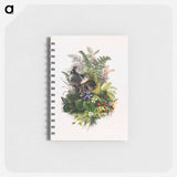 アートメモ帳-Bird
 - ボストン公共図書館 Memo.