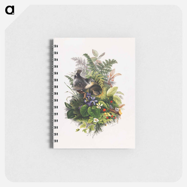 アートメモ帳-Bird
 - ボストン公共図書館 Memo.