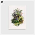 アートポストカード-Bird
 - ボストン公共図書館 Postcard.