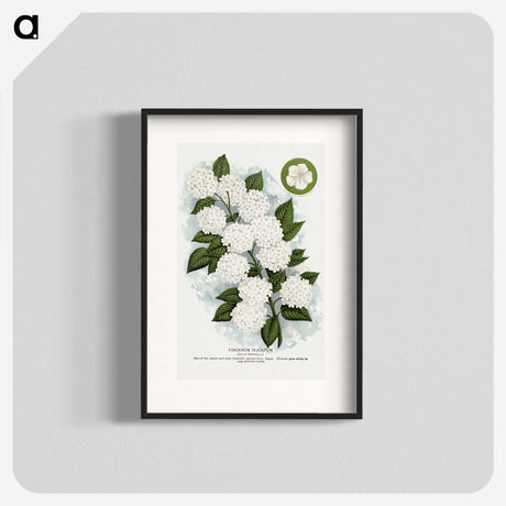 1-20_Botanical-Specimen-Plates_blk