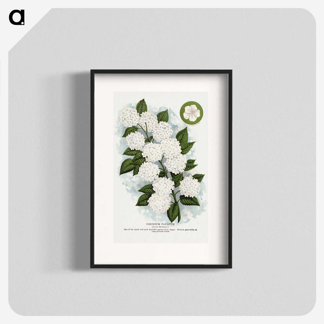 1-20_Botanical-Specimen-Plates_blk