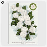 1-20_Botanical-Specimen-Plates_picture-crop