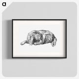1-20_Cornelis-Ploos-van-Amstel_blk