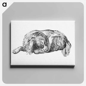 アートパネル-Lying Dog
 - コルネリス プロース ファン アムステル Canvas.
