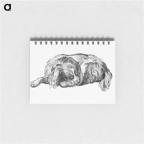 アートメモ帳-Lying Dog
 - コルネリス プロース ファン アムステル Memo.