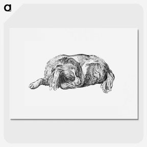 1-20_Cornelis-Ploos-van-Amstel_picture