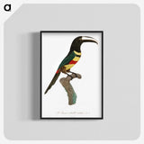1-20_Des-Oiseaux-de-Paradis_blk-crop