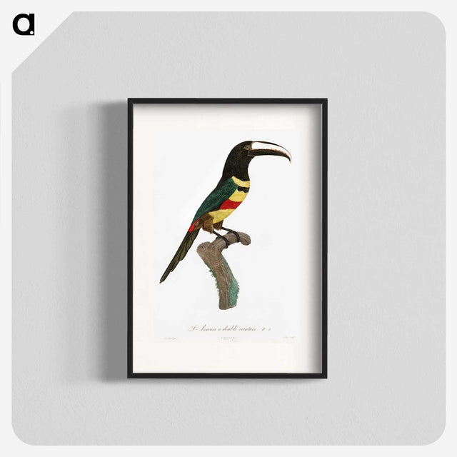 1-20_Des-Oiseaux-de-Paradis_blk