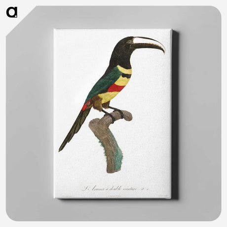 1-20_Des-Oiseaux-de-Paradis_canvas