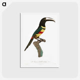 1-20_Des-Oiseaux-de-Paradis_hagaki