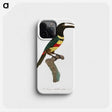 1-20_Des-Oiseaux-de-Paradis_phone