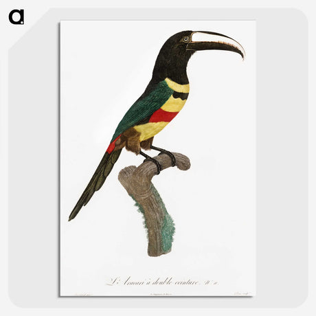 1-20_Des-Oiseaux-de-Paradis_picture-crop