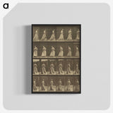 1-20_Eadweard-Muybridge_blk-crop