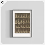 1-20_Eadweard-Muybridge_blk