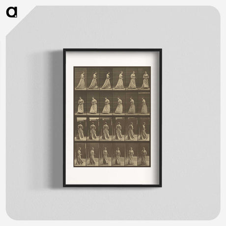 1-20_Eadweard-Muybridge_blk