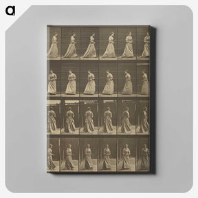 1-20_Eadweard-Muybridge_canvas
