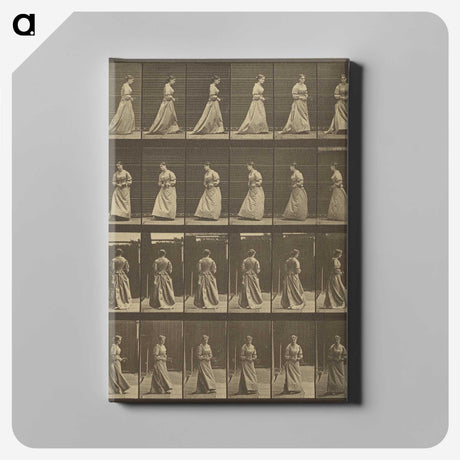 1-20_Eadweard-Muybridge_canvas