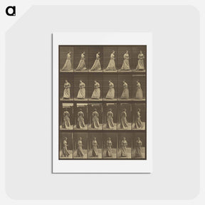 アートポストカード-Animal Locomotion
 - エドワード マイブリッジ Postcard.
