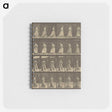 1-20_Eadweard-Muybridge_memo