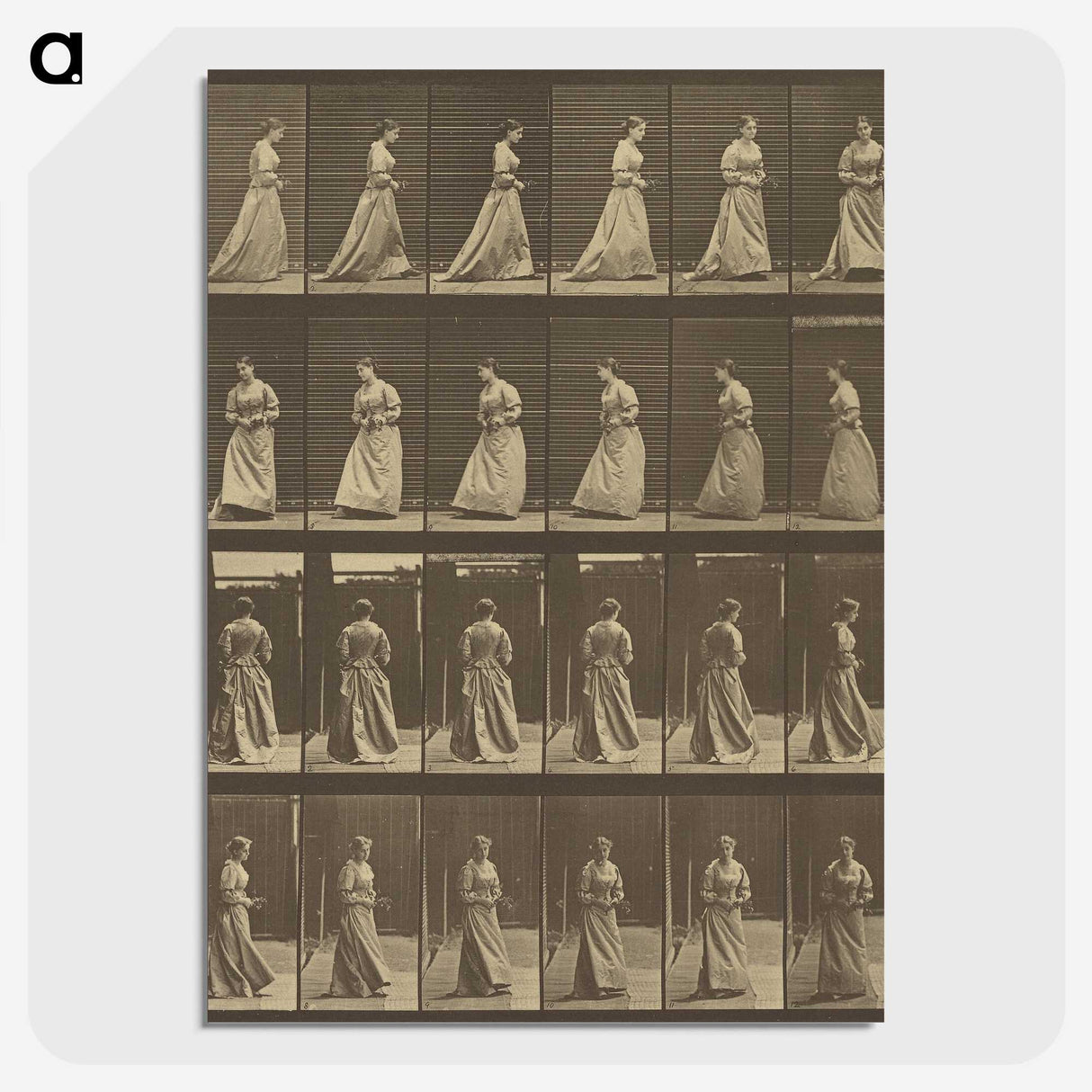 1-20_Eadweard-Muybridge_picture-crop