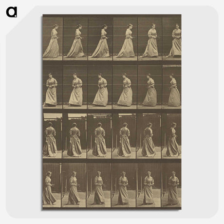 1-20_Eadweard-Muybridge_picture-crop