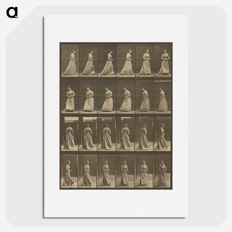 1-20_Eadweard-Muybridge_picture
