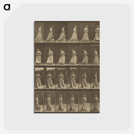 アートポストカード-Animal Locomotion
 - エドワード マイブリッジ Postcard.