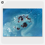 1-20_Earth-from-Above_picture-crop