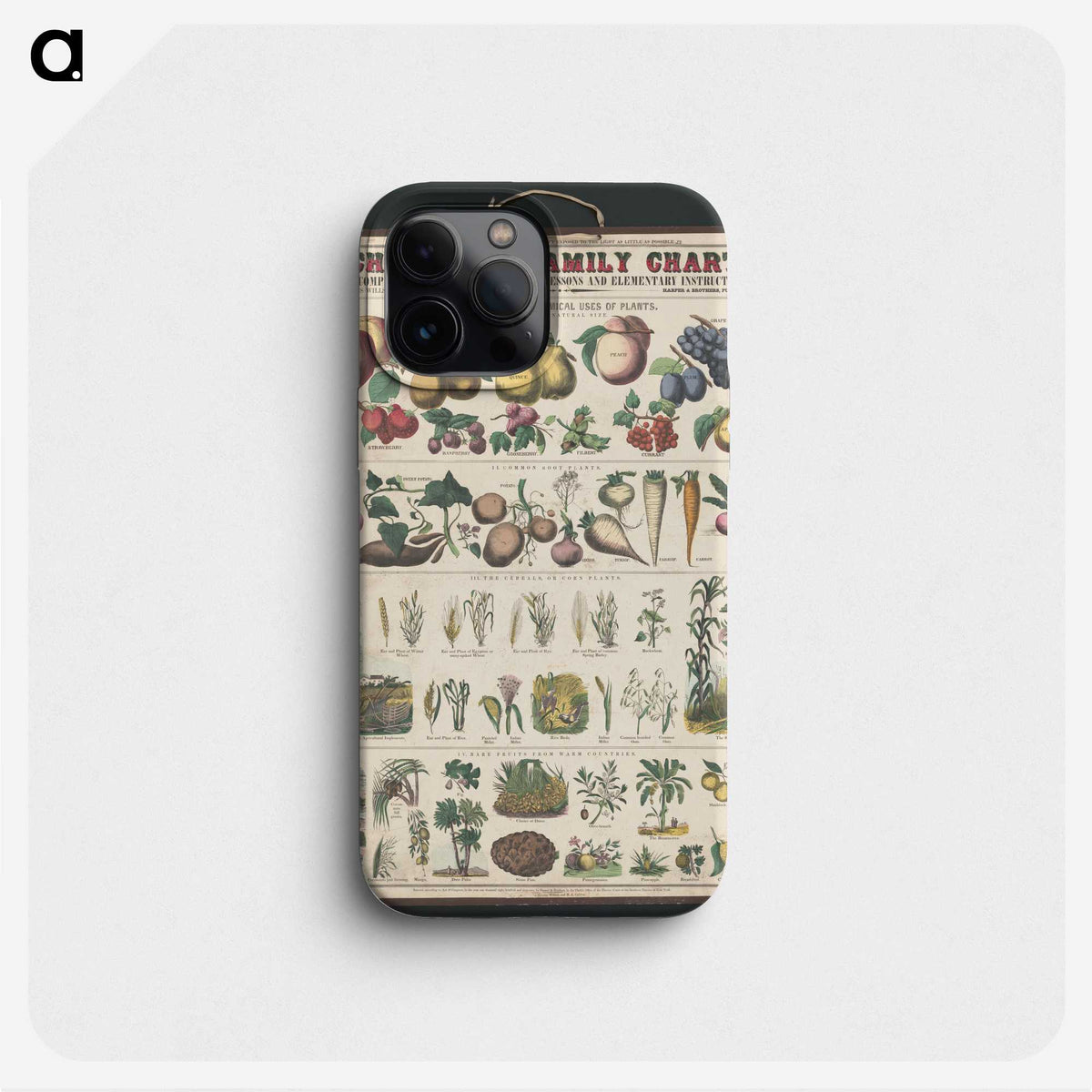 1-20_Education-Charts_phone