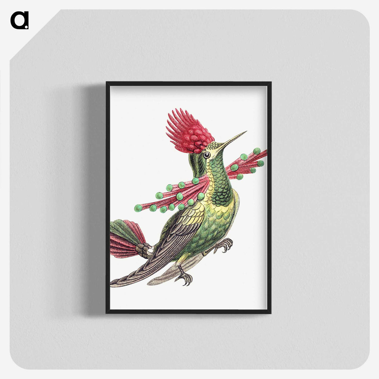 1-20_Ernst-Haeckel_blk-crop