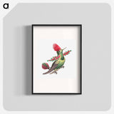 Colorful vintage hummingbird illustration - エルンスト ヘッケル Poster.