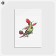 アートポストカード-Colorful vintage hummingbird illustration - エルンスト ヘッケル Postcard.