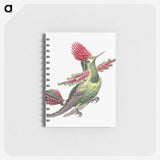 1-20_Ernst-Haeckel_memo