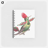アートメモ帳-Colorful vintage hummingbird illustration - エルンスト ヘッケル Memo.